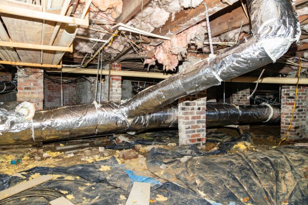 Hire Certified Crawl Space Waterproofing Contractors Near Prince George